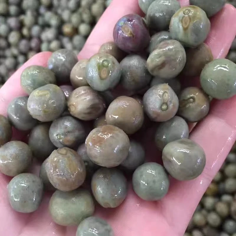 信阳潢川县2025年新籽鸡头米 规格12-14共3斤