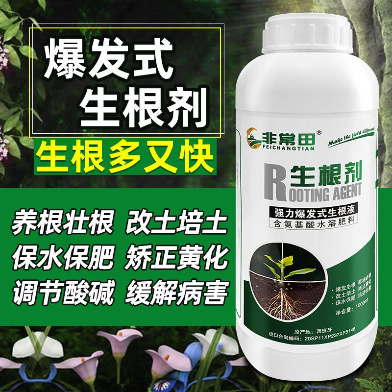 无激素生根剂苗木移栽水剂通用根壮根粗保护提高成活率爆发生长根
