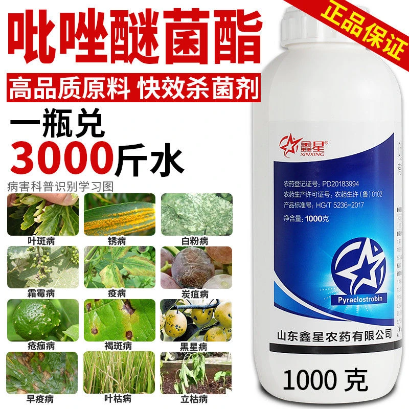 吡唑醚菌酯农药杀菌剂叶斑病炭疽病白粉病霜霉病黄瓜葡萄番茄专用