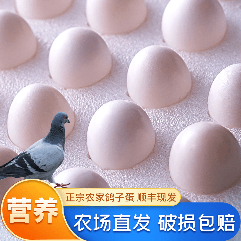 顺丰急发破损包赔❤新鲜真宗农家散养鸽子蛋五谷杂粮信鸽