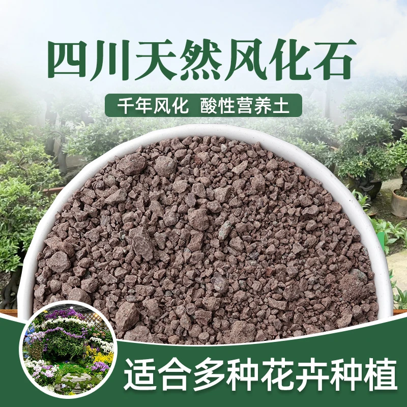 天然风化石 金弹子石谷子 、多肉、兰花专用植料 酸性营养土