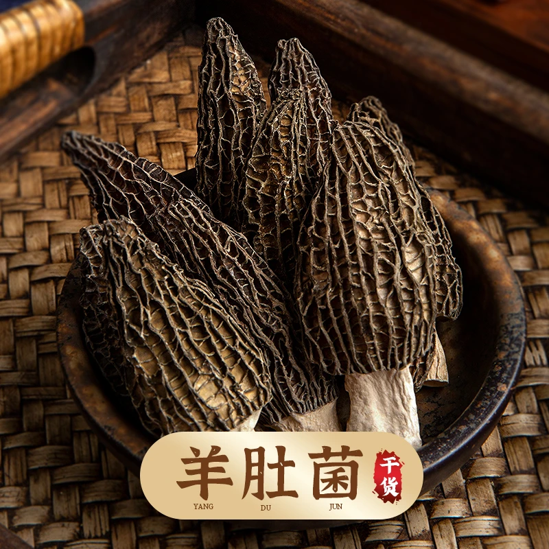 康乐满院羊肚菌大号干货云南特产菌菇煲汤炒菜 50克/袋