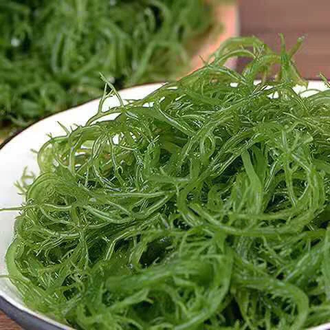 龙须菜凉菜火锅菜5斤/2斤/1斤山东特产凉拌菜新鲜海藻菜绿色鲜嫩