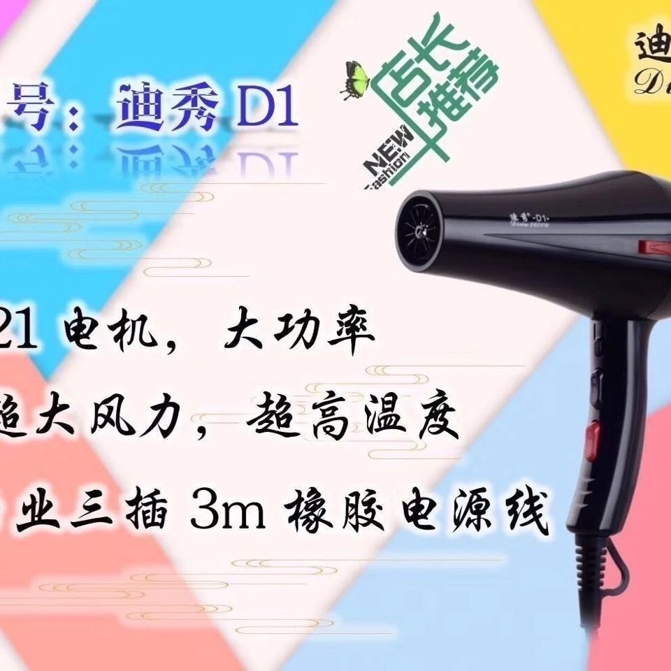 DIXIU/迪秀D1电2400W电风筒吹风机发廊专用吹风机