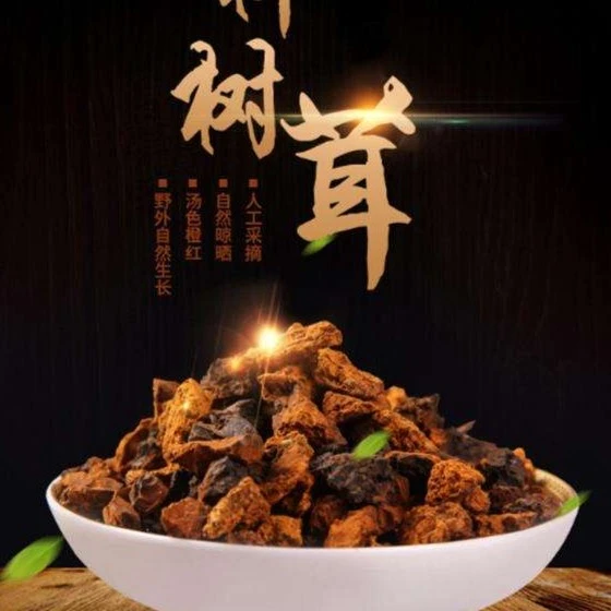 长白山 白桦茸 桦树茸黑精颗粒500克/包 大山里的白桦树茸