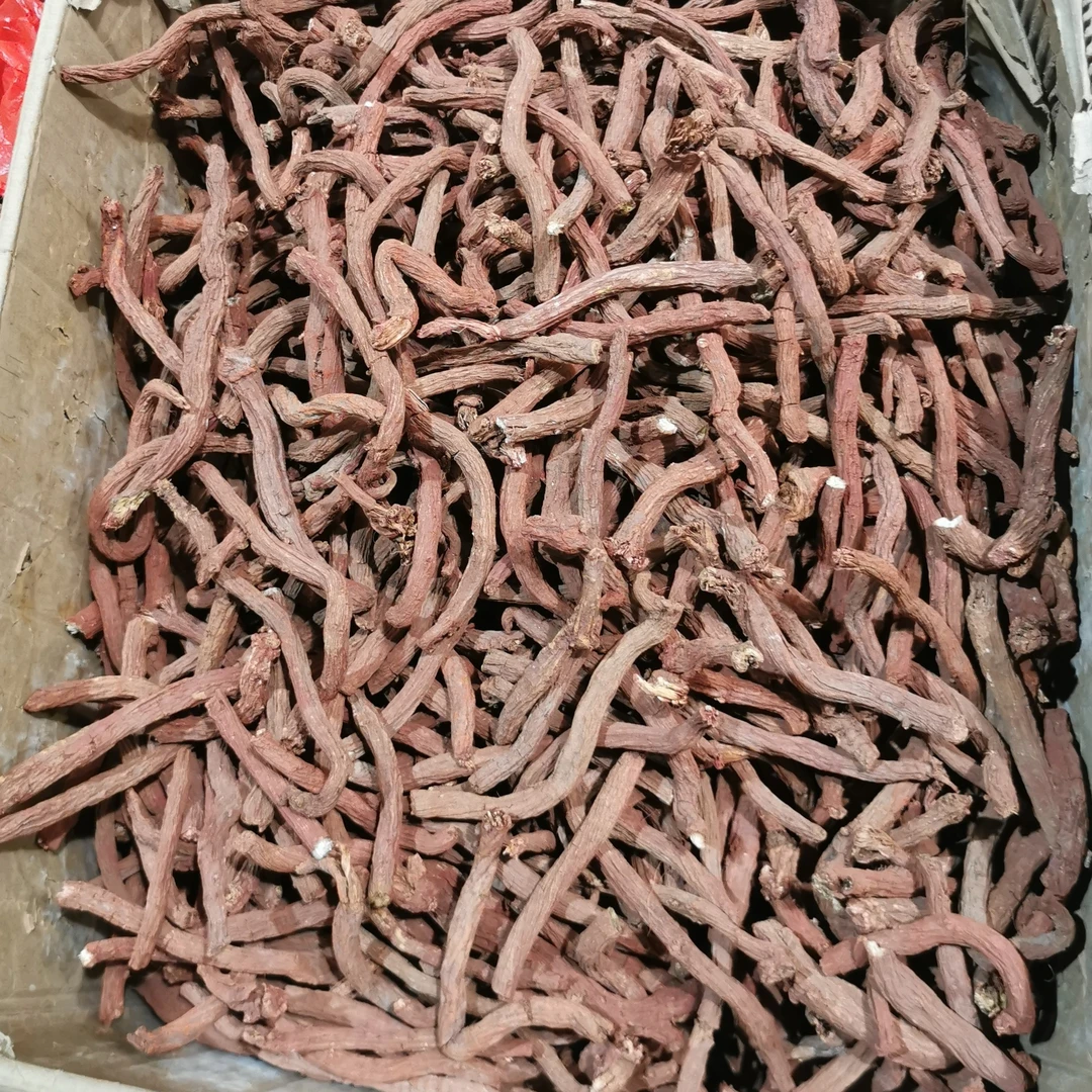 【推荐】长白山原产地紫皮丹参  净重250克/500克食用