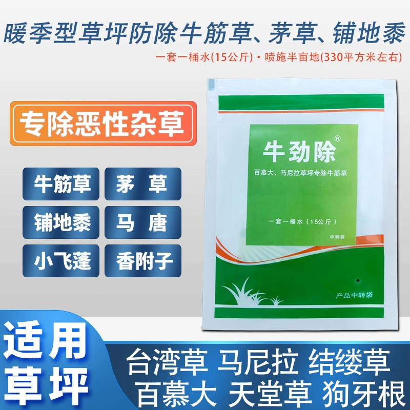 牛劲除马尼拉百慕大结缕草狗牙根台湾草暖季草坪除牛筋草茅草