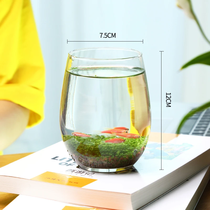 【鹅蛋瓶】水培微景观绿植套装桌面透明创意玻璃瓶造景鱼缸