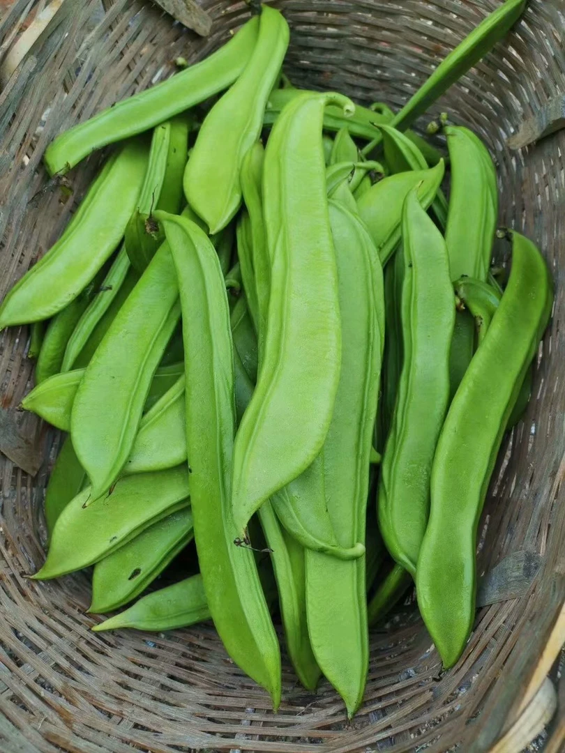 湖北咸宁通城刀豆刀把豆五斤