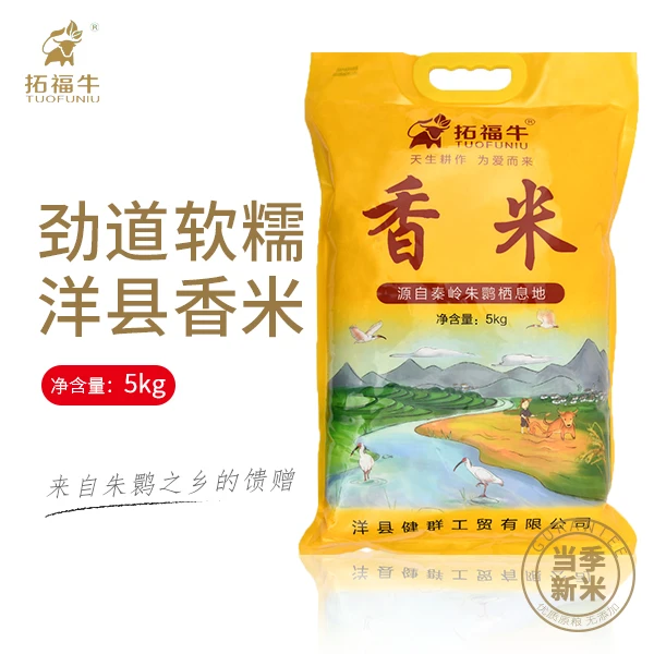 【工厂直销】洋县长粒香米5kg 经济实惠陕南汉中大米