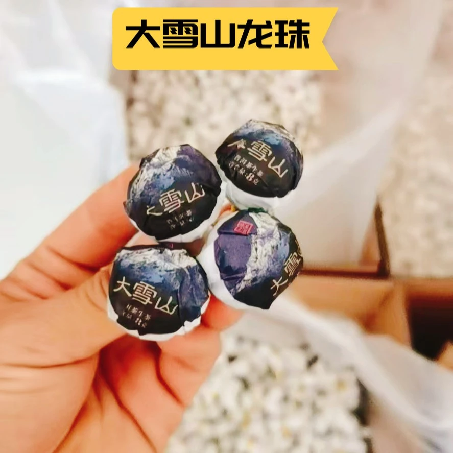 大雪山古树纯料生茶2022年头春500克龙珠
