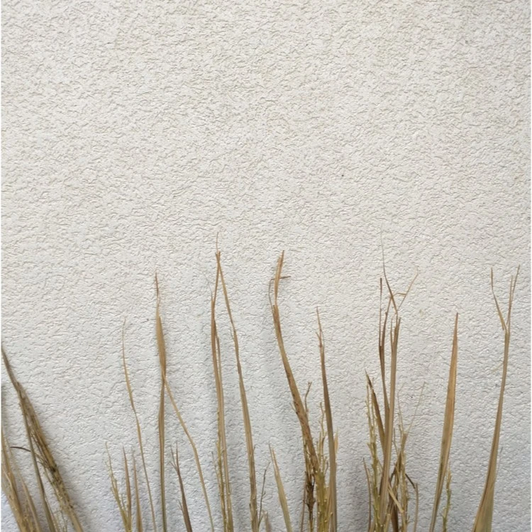 彩虹龙艺术漆雅晶石20公斤/桶