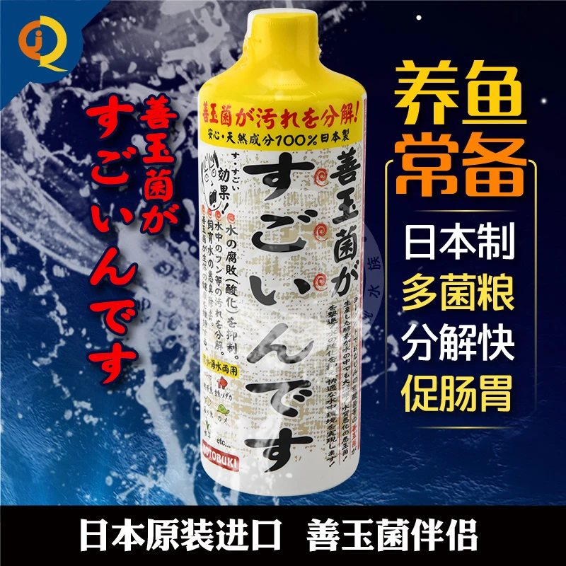 日本KOTOBUKI善玉菌硝化细菌伴侣菌粮龙魟虎鱼水质肠胃双效调理液