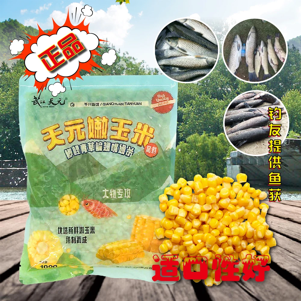 嫩玉米窝料主攻大青草鳊翘嘴鲤鱼料1000克鲜玉米饵料