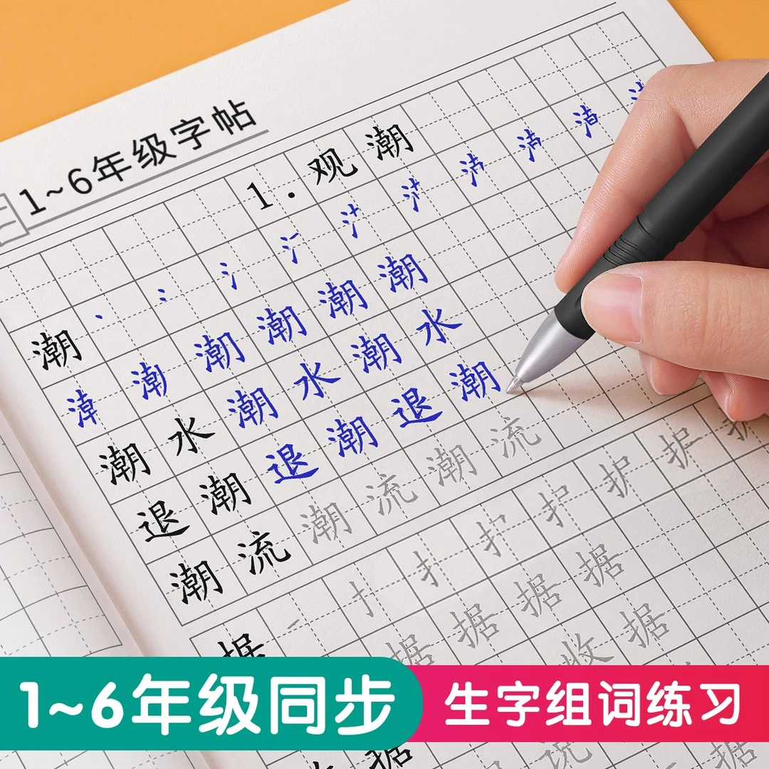 1-6年级生字组词 课本同步小学生练字帖 每日一练笔顺规范赠送X