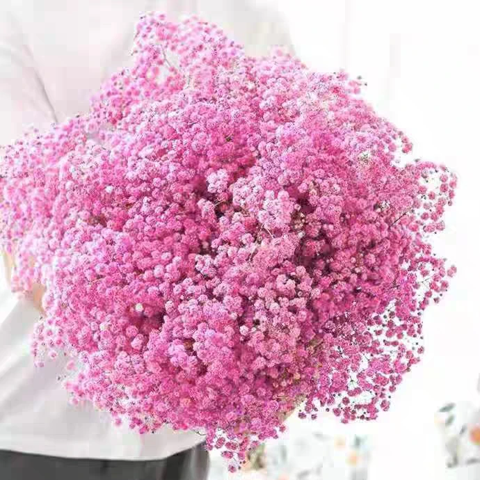 13满天星400g左右（运输途中会有轻微掉花会有水份流失干花客厅摆