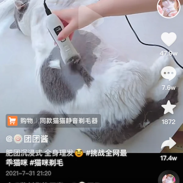 CODOS/科德士cp-9200美容师专用猫狗剃毛器宠物理毛刀安全静音剃