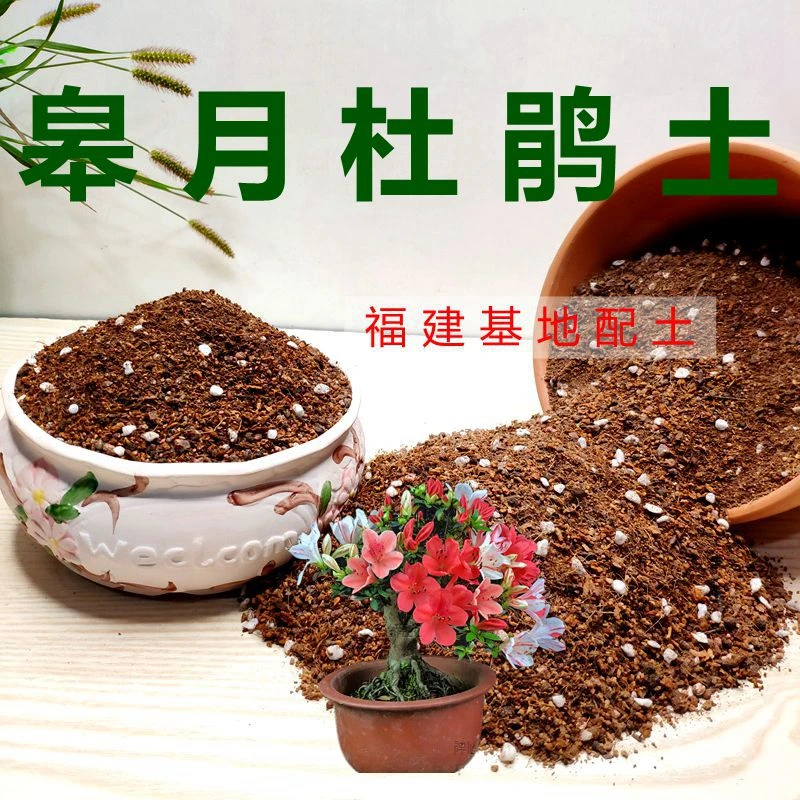 皋月杜鹃花营养土绿植营养土通用型花卉土类植料偏弱酸性培养土壤