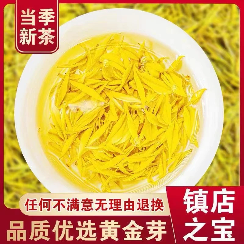 春茶黄金芽2024新茶罐装豆香型绿茶 茶中贵族黄金芽龙井 老板力荐