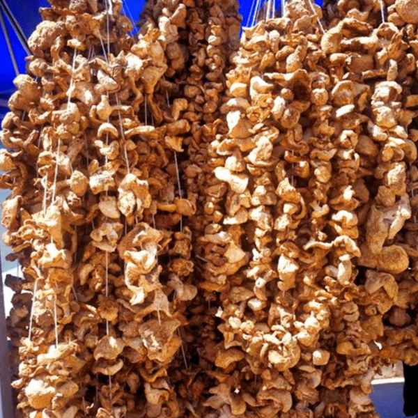 巴音布鲁克草原森林穿线串丁字干蘑菇新疆天山野蘑菇景区特产1斤