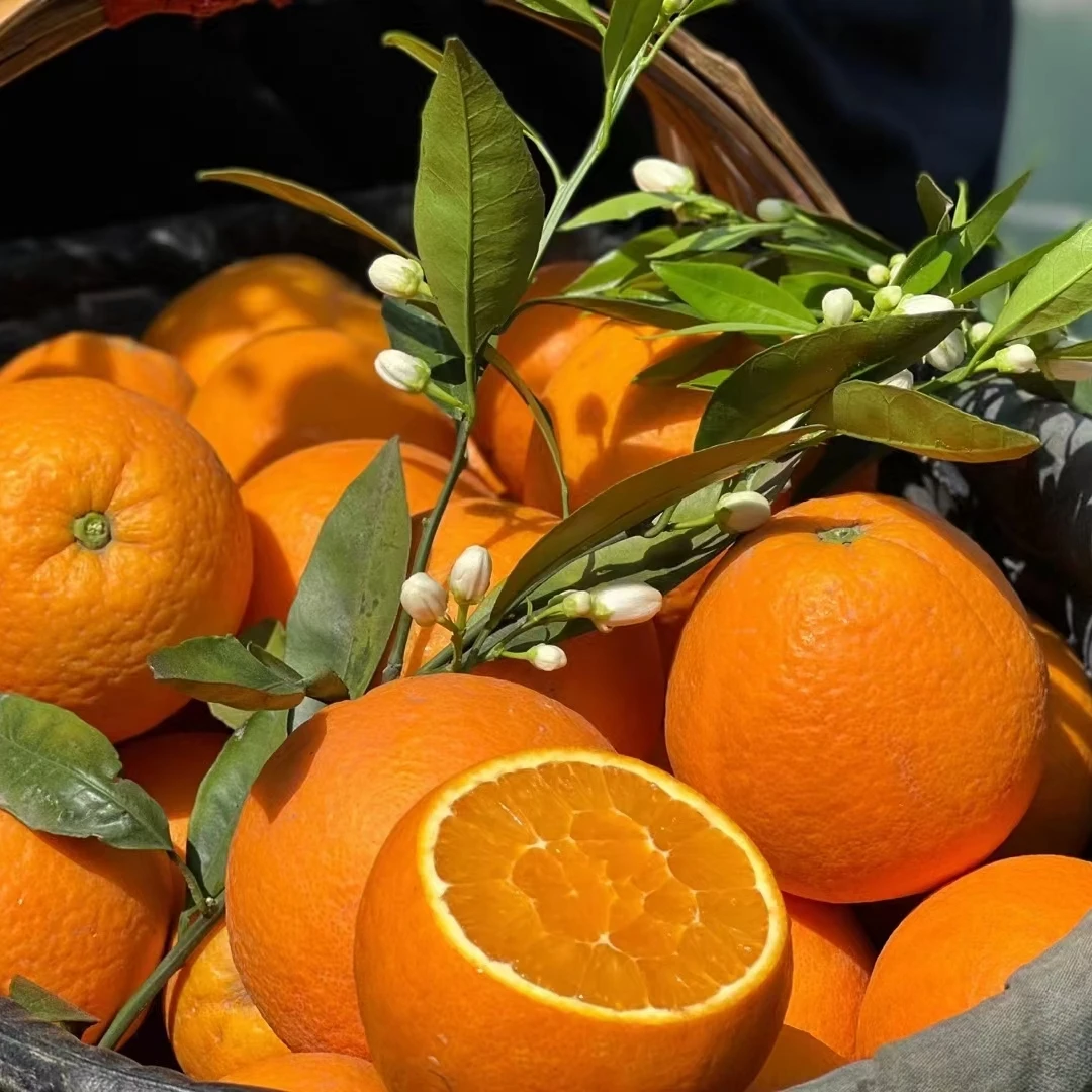 【顺丰】湖北秭归伦晚脐橙当季新鲜水果鲜橙榨汁橙9斤甜橙现摘