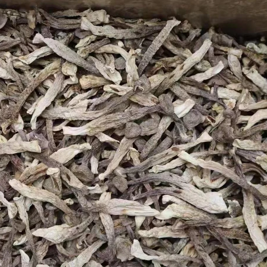 珠海龙发 鹿茸菇500g
