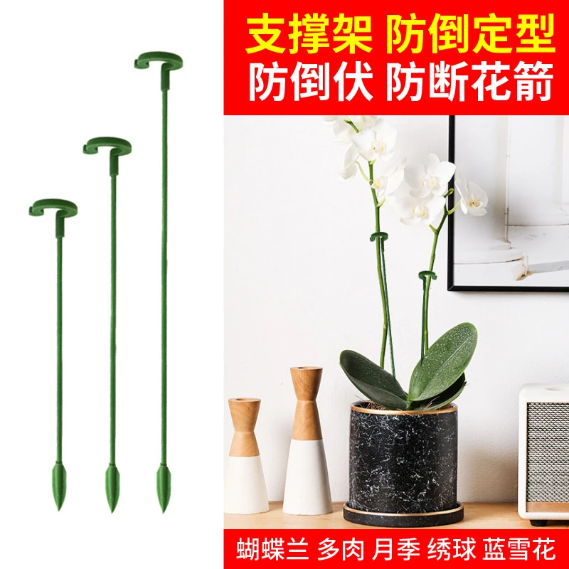 蝴蝶兰支架植物支撑杆园艺支架多肉固定花支架防倒蝴蝶兰专用花架