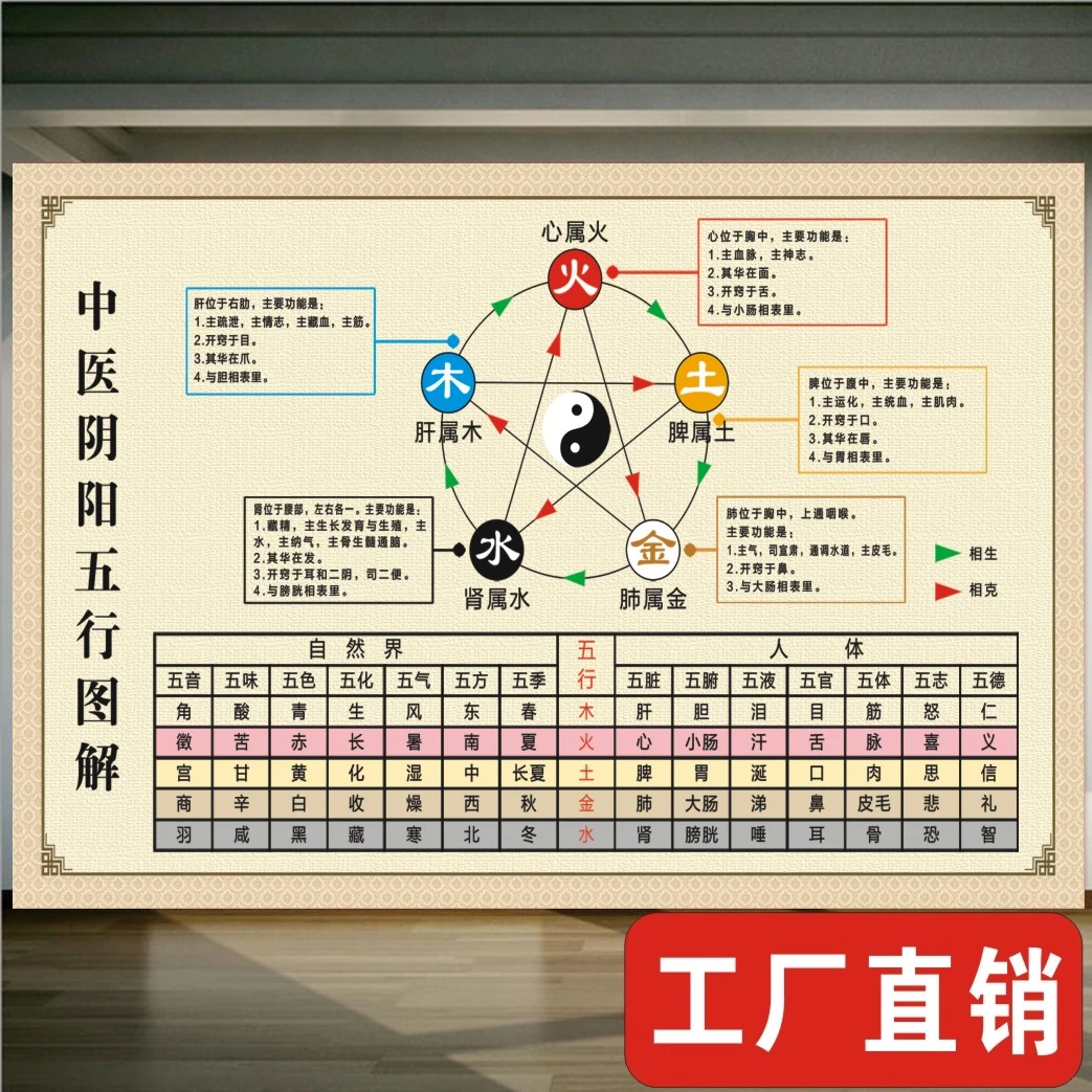养生挂画子午流注对照表五行阴阳五行图解贴画金木水火土参照海报