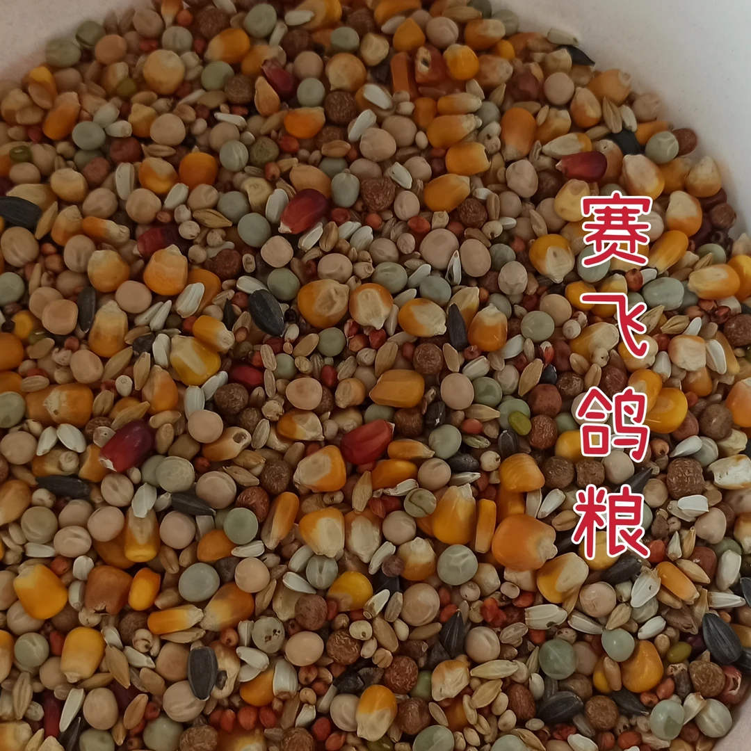 赛飞鸽粮 赛鸽用品