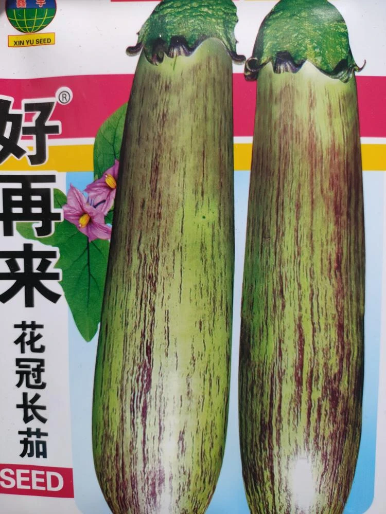 茄子好再来花冠面包茄子种子