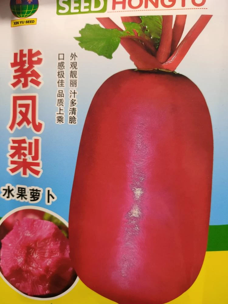 紫色凤梨水果萝卜种子