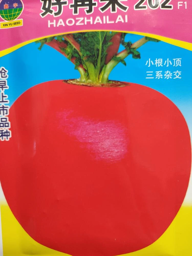 大红袍萝卜杂交种子