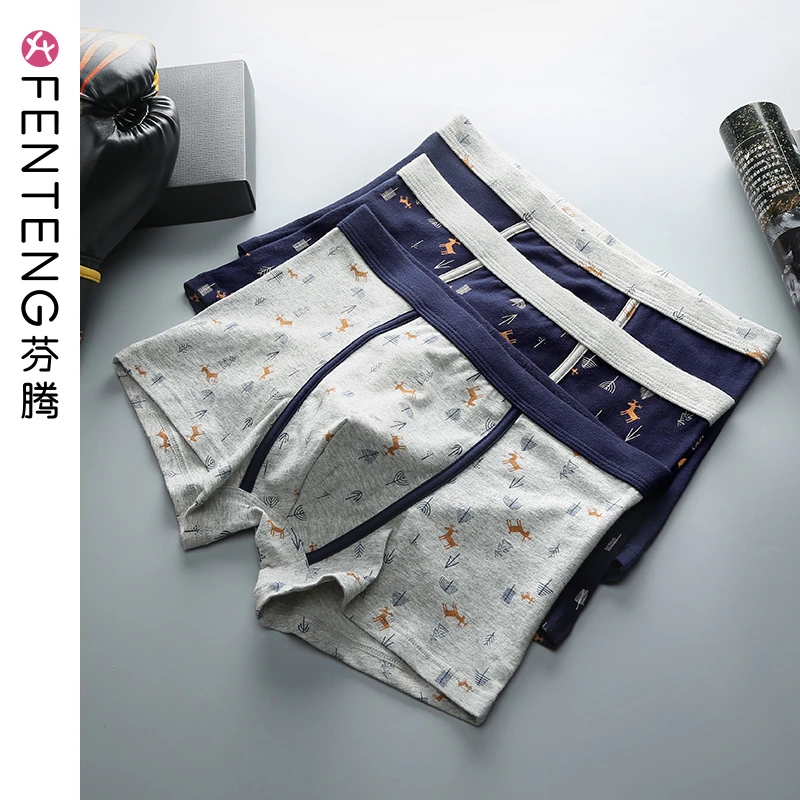 芬腾【3条盒装】夏季男士内裤大码透气男青年平角裤性感潮流青少年