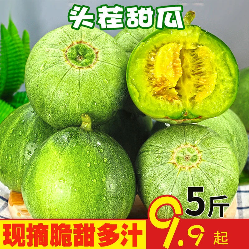 山东绿宝甜瓜脆瓜5水果包邮新鲜当季甜瓜脆瓜绿宝石整箱批发5斤装