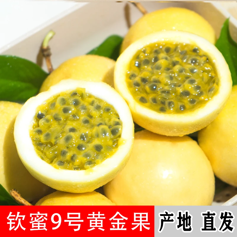 超甜黄金百香果新鲜现摘当季水果孕妇水果钦密9号1斤/3斤/5斤