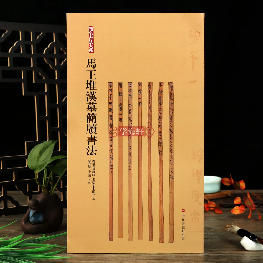 简牍马王堆汉墓简牍简帛大系软笔竹简文古书法毛笔字帖