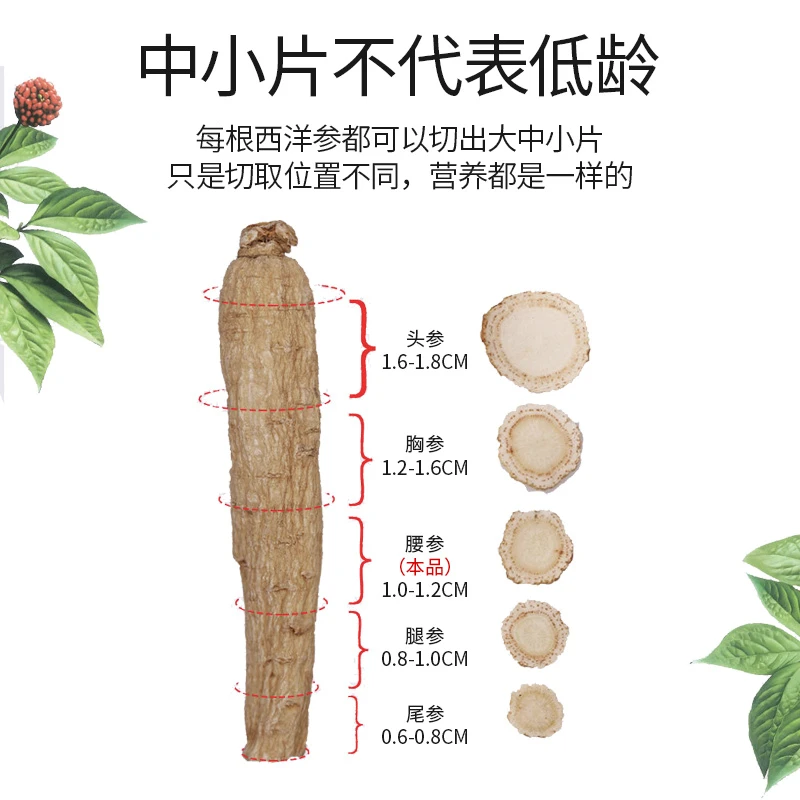 西洋参片50g西洋参片无硫泡水食用参味浓郁好吸收