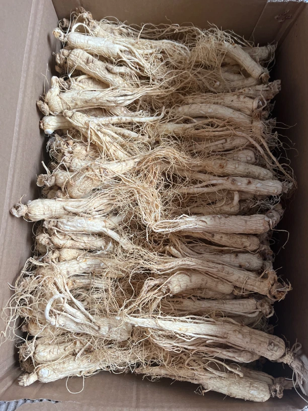 长白山生晒参500克