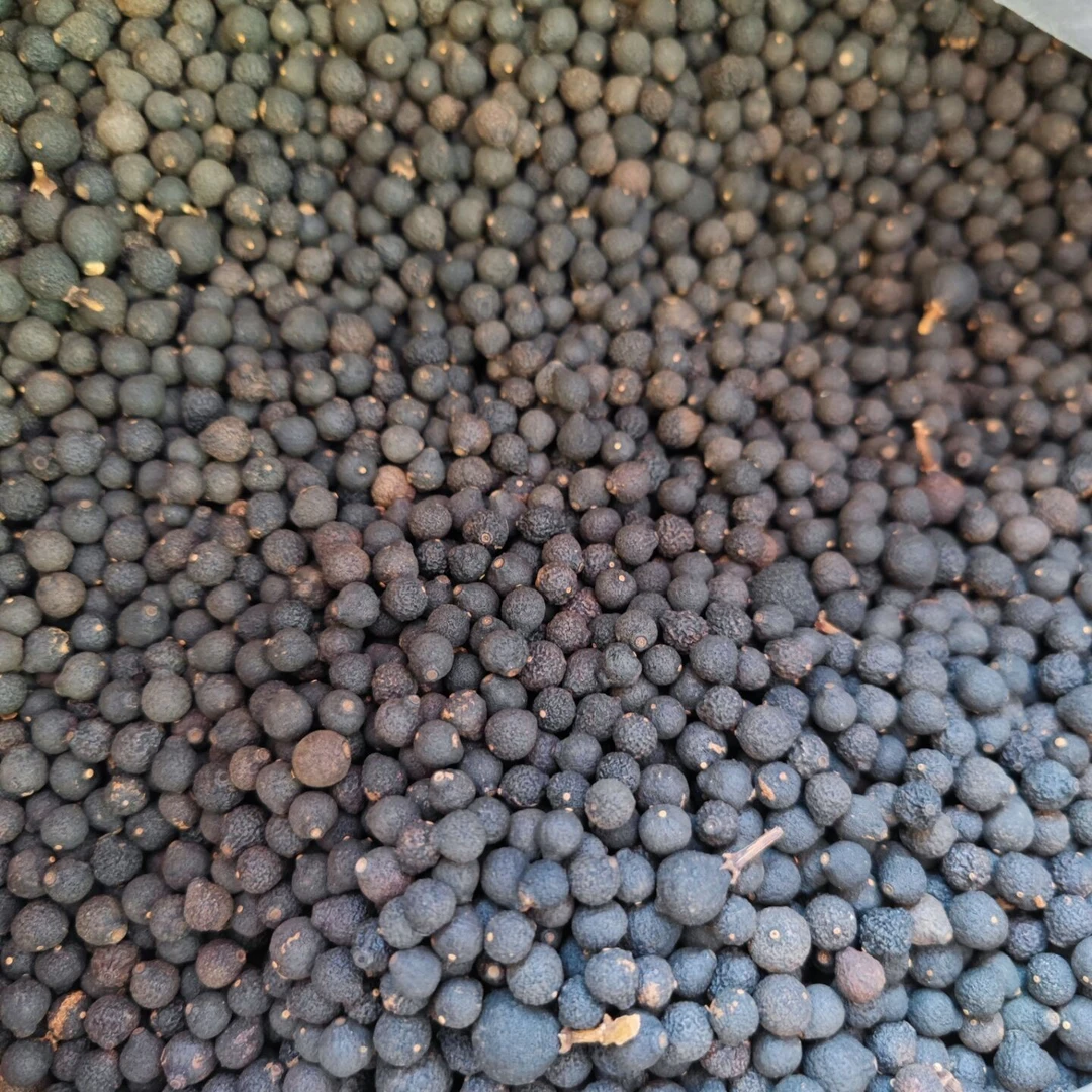 2016年东甲小柑胎