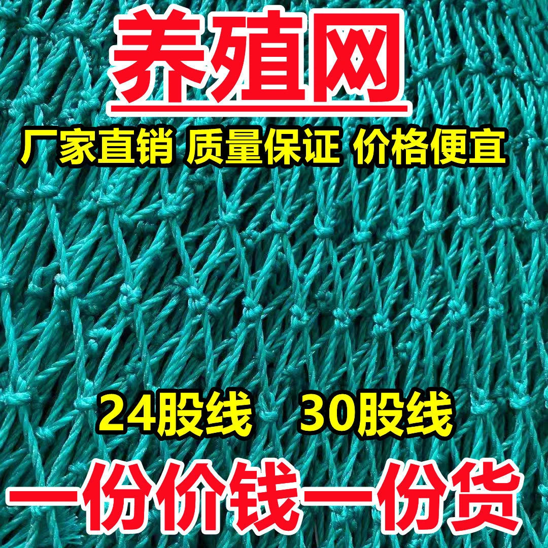 养鸡网家禽养殖网拦鸡鸭网防鸟网爬藤网菜园围网果园网护栏网天网