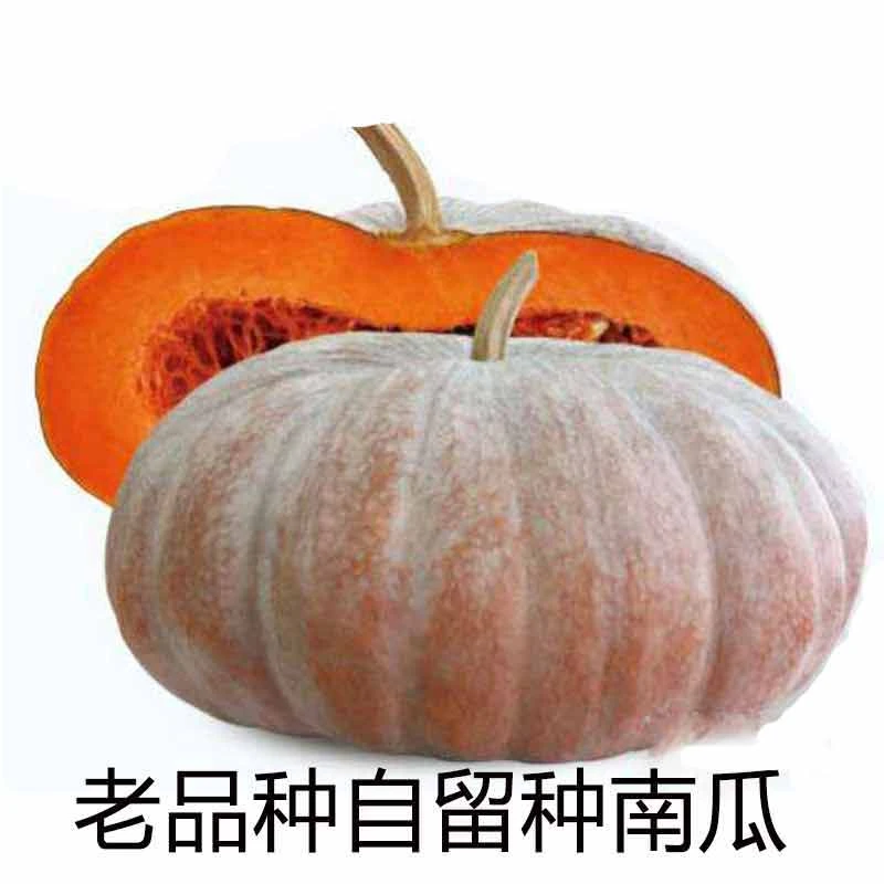 河南农家老品种磨盘南瓜2颗装净重4.5-5斤