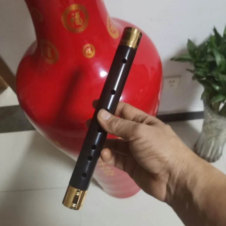 镀金箍专业演奏级大G