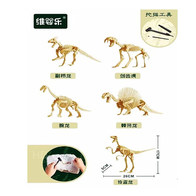 儿童考古挖掘盲盒恐龙化石骨架模型石膏玩具