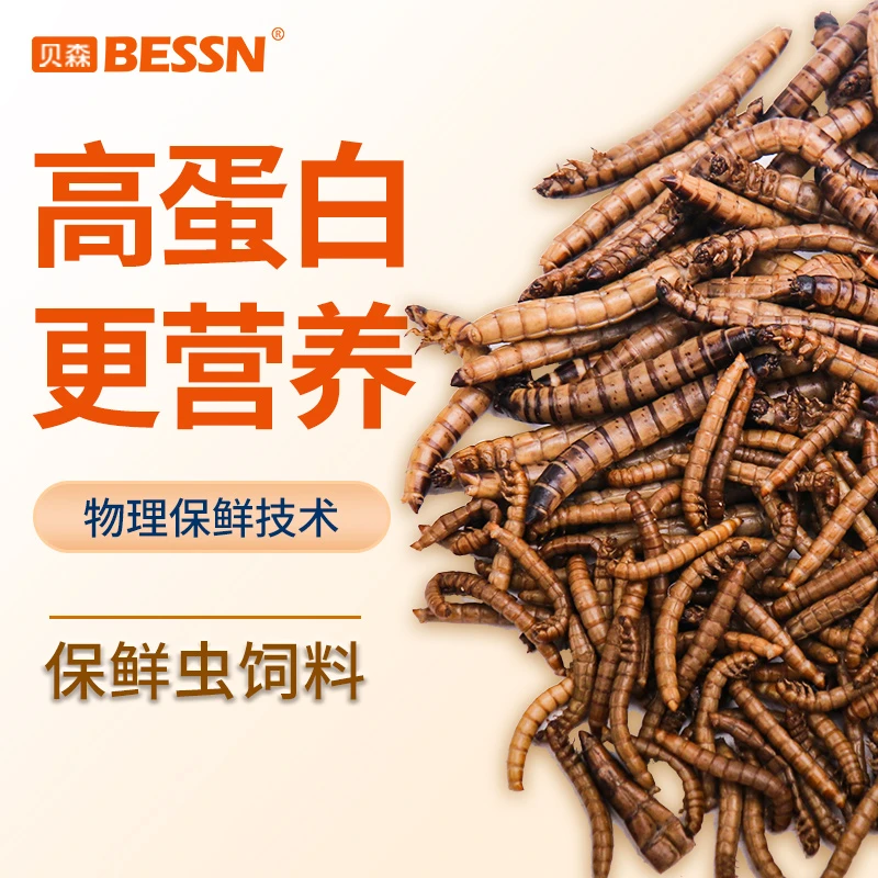 BESSN银龙鱼饲料血鹦鹉鱼食面包虫大麦虫金龙招财发财鱼罗汉鱼粮