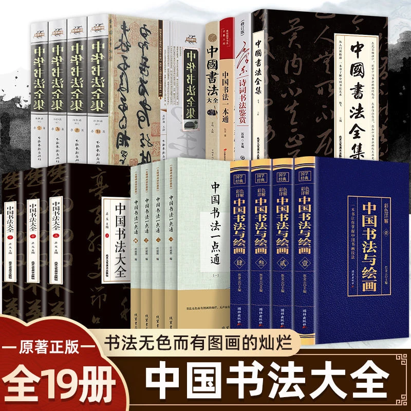 原著正版中国书法一点通中国书法彩图详解中国古代书法起源绘画基