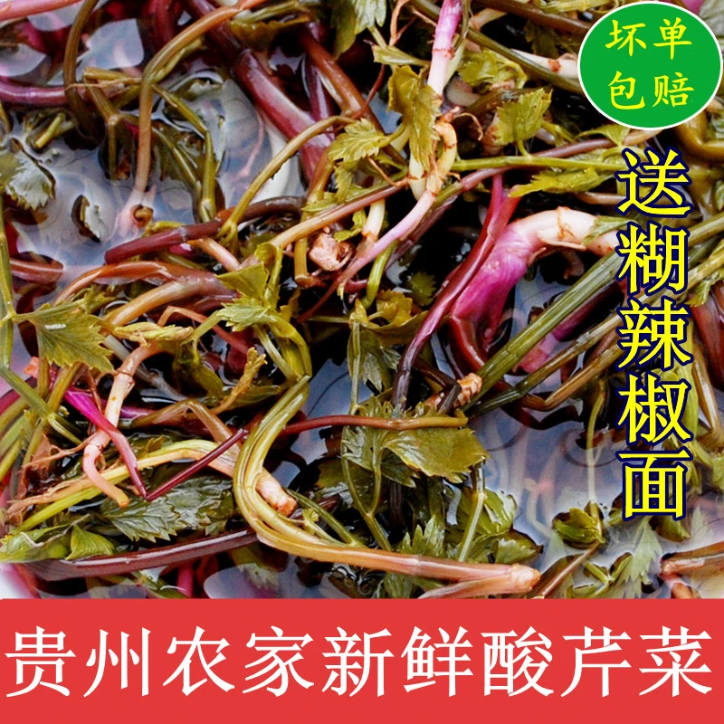 芹菜酸菜正宗贵州土特产农家无盐酸菜无添加手工腌制酸菜