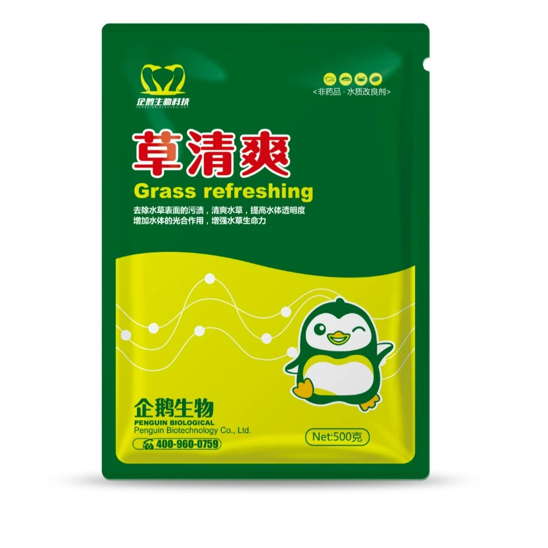 【梓豪玩蟹】水产养殖虾蟹塘草清爽水草挂脏污泥青苔刚毛藻纤毛虫