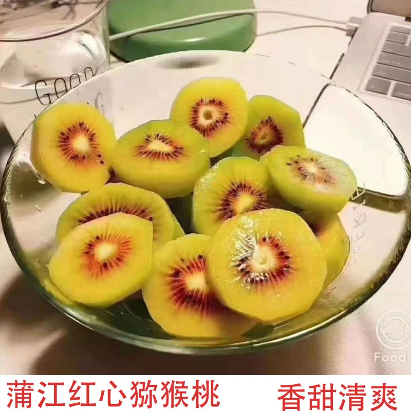 蒲江产地 新鲜红心猕猴桃四川当季肉质细嫩香甜爽口多汁果园直发