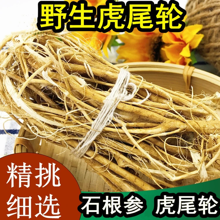 虎尾轮根福建野生石参根煲汤材料新鲜正品正宗草本根部滋补炖品