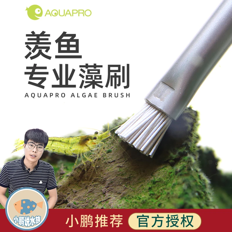 羡鱼藻刷钢丝刷藻类清洁清理笔水草造景刷石头耐用加厚小鹏说水族